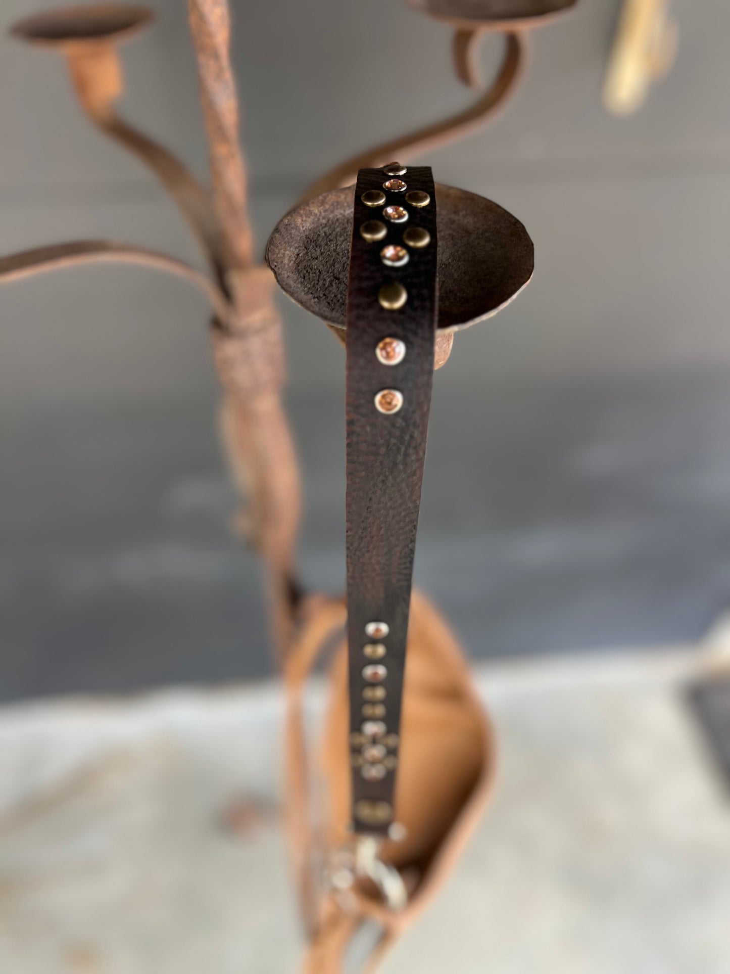 The High Desert Leather Embellished Handbag Strap