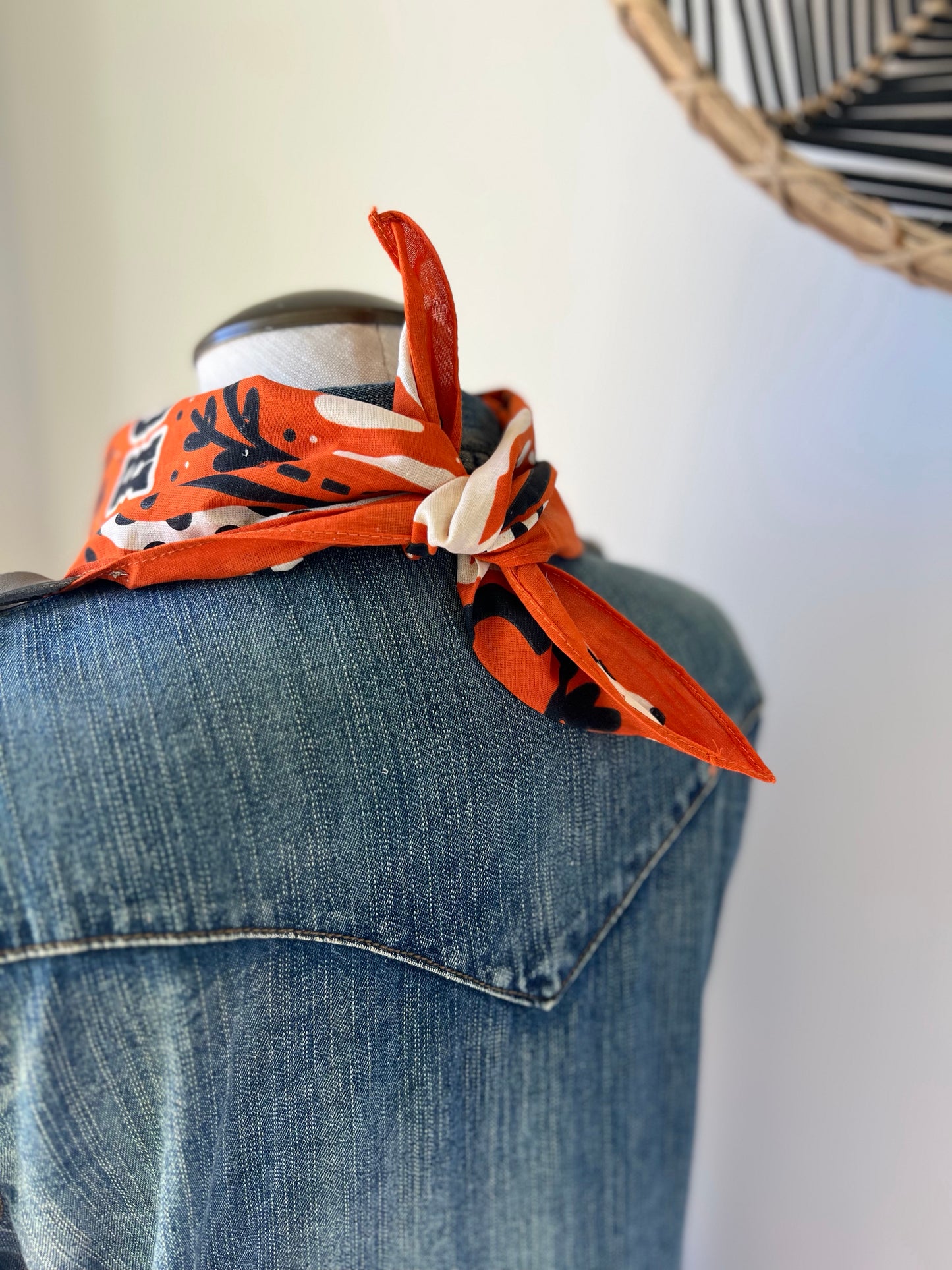 Desert Dusted Bandana Leather Fringe Collar