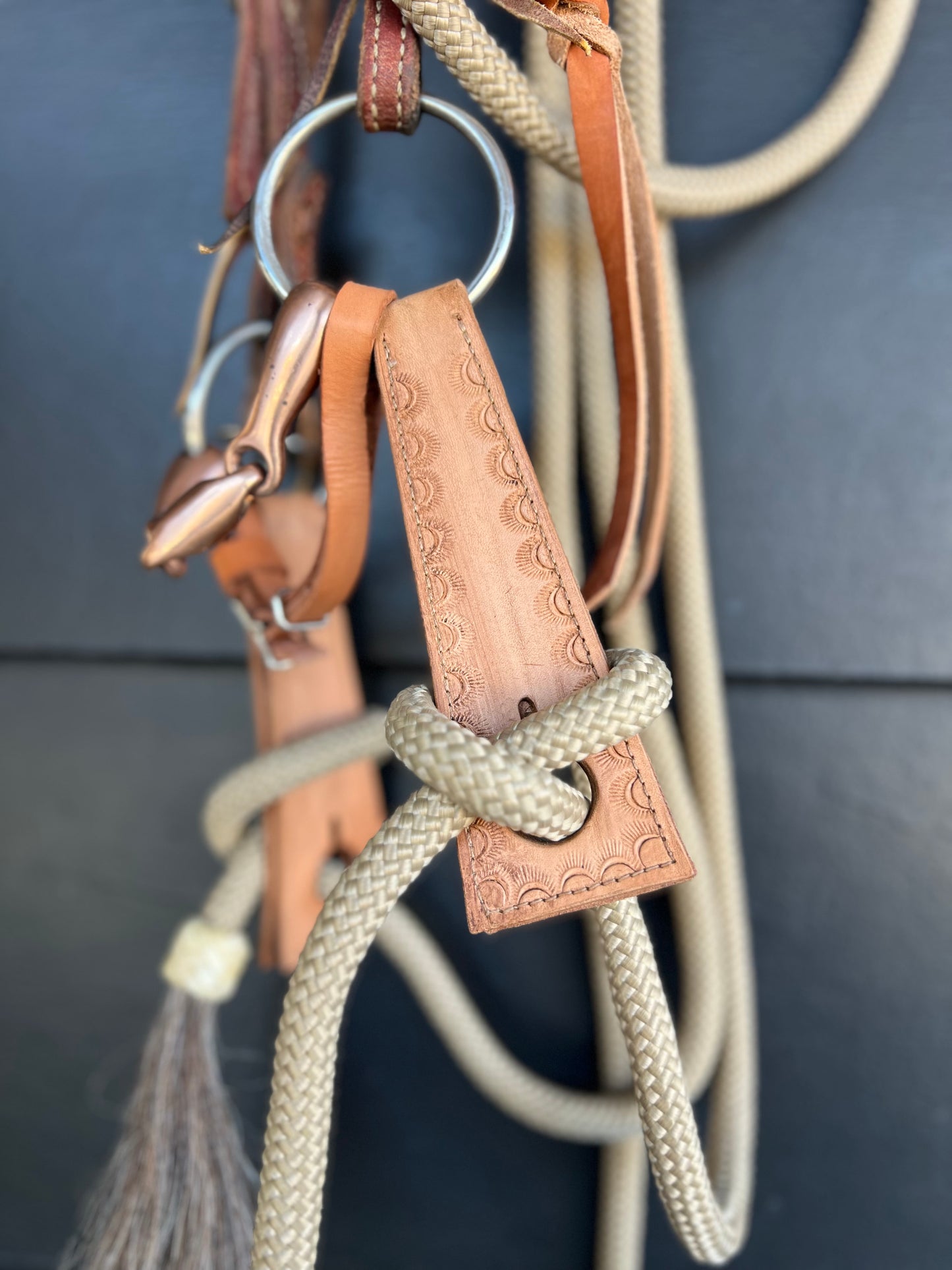 Dirty Mojave Leather Horse Slobber Mecate Straps