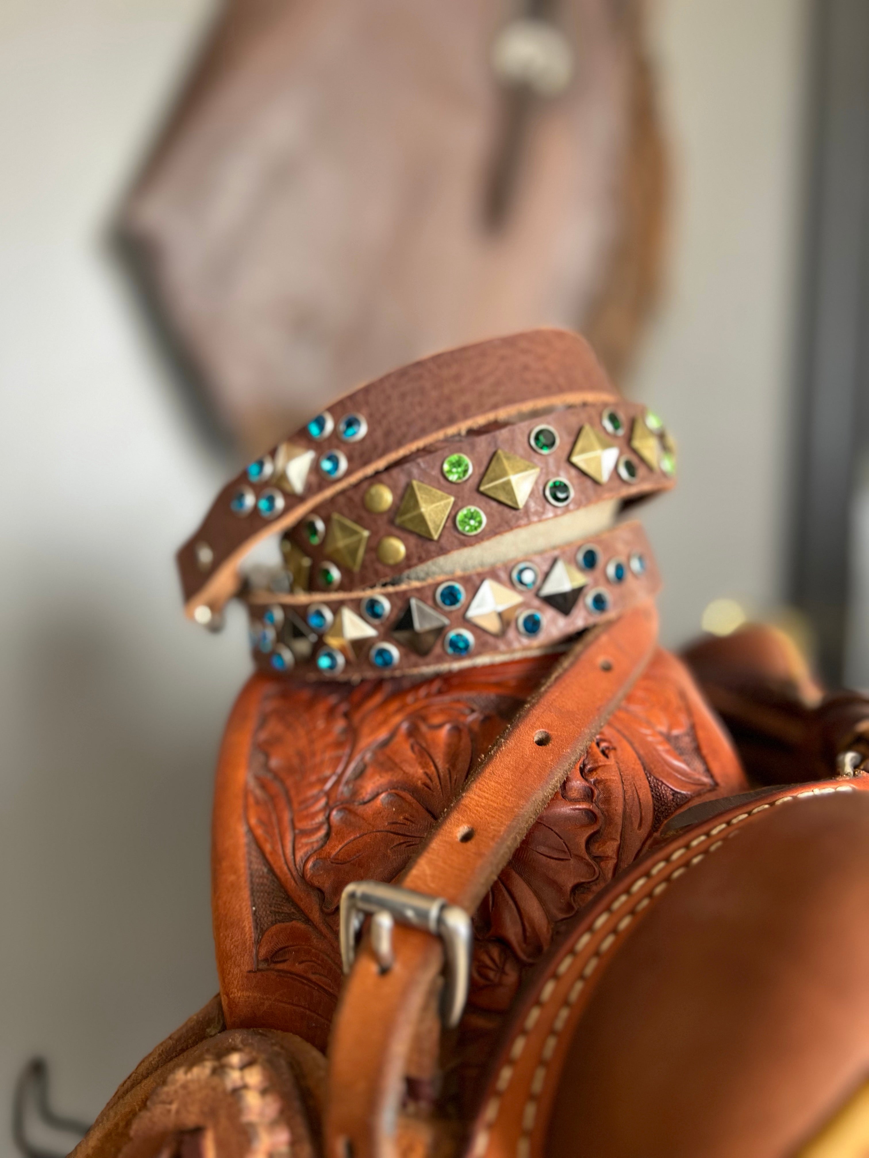 The High Desert Strap