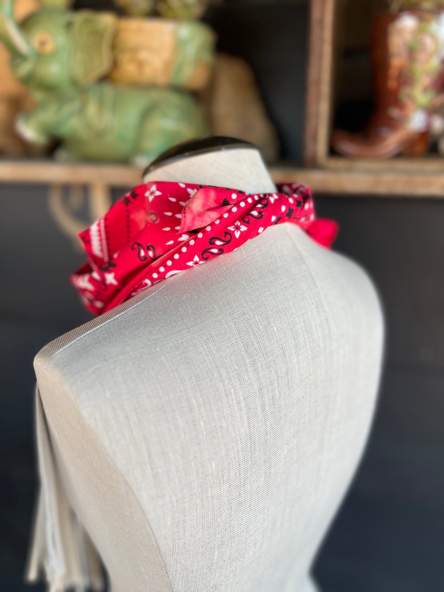 Desert Dusted Bandana Leather Fringe Collar