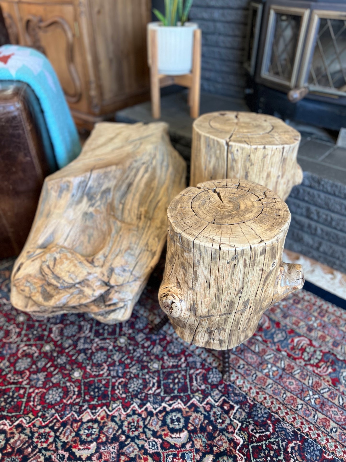 Dirty Mojave Pine Log Arbor Tree Chunk Stump End Table with Metal Legs