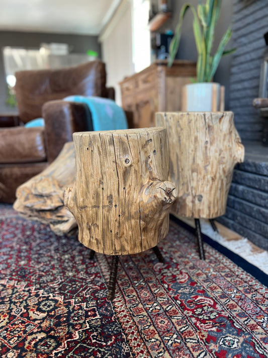 Dirty Mojave Pine Log Arbor Tree Medium Stump End Table with Legs