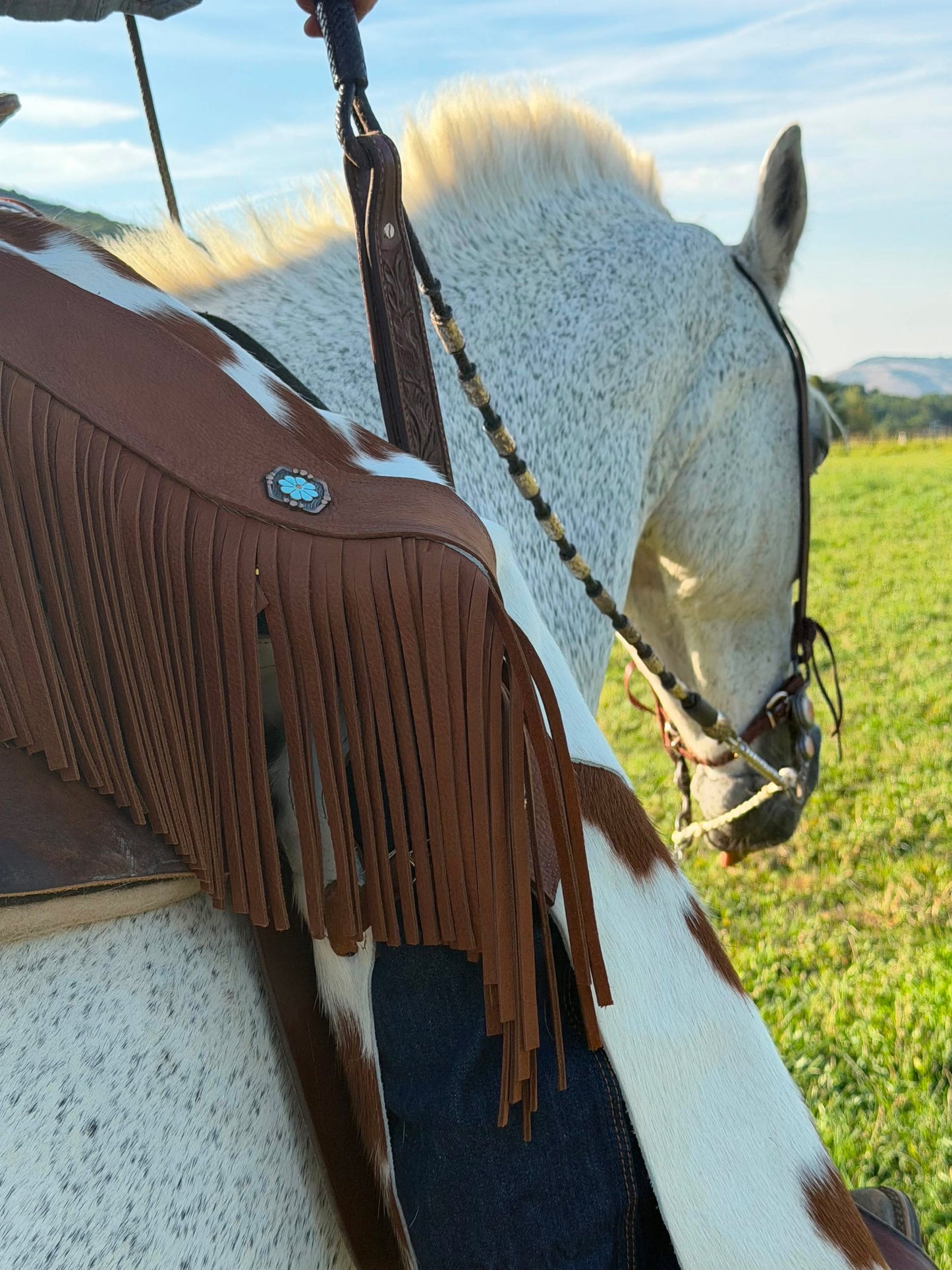 The Prairie Chaps — Spotted Cowhide Fringed Leather Chaps