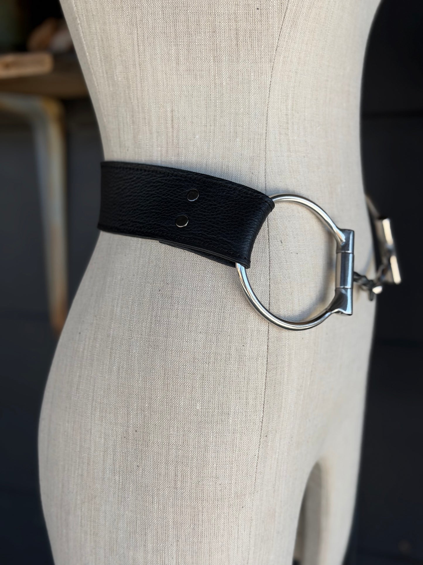 The Mojave Bit Belt