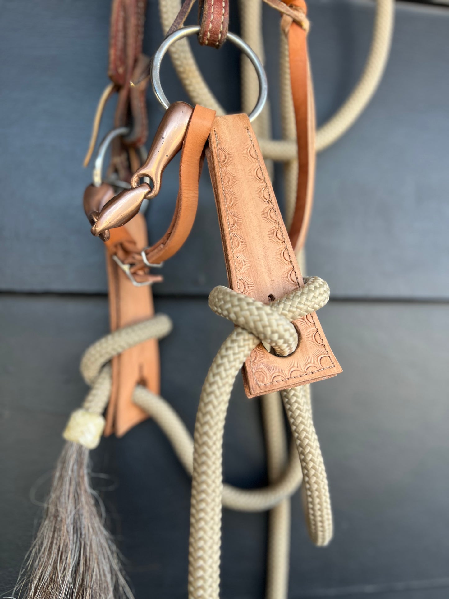 Dirty Mojave Leather Horse Slobber Mecate Straps