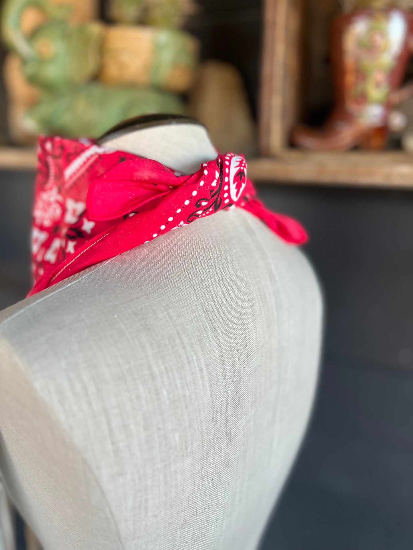 Desert Dusted Bandana Leather Fringe Collar