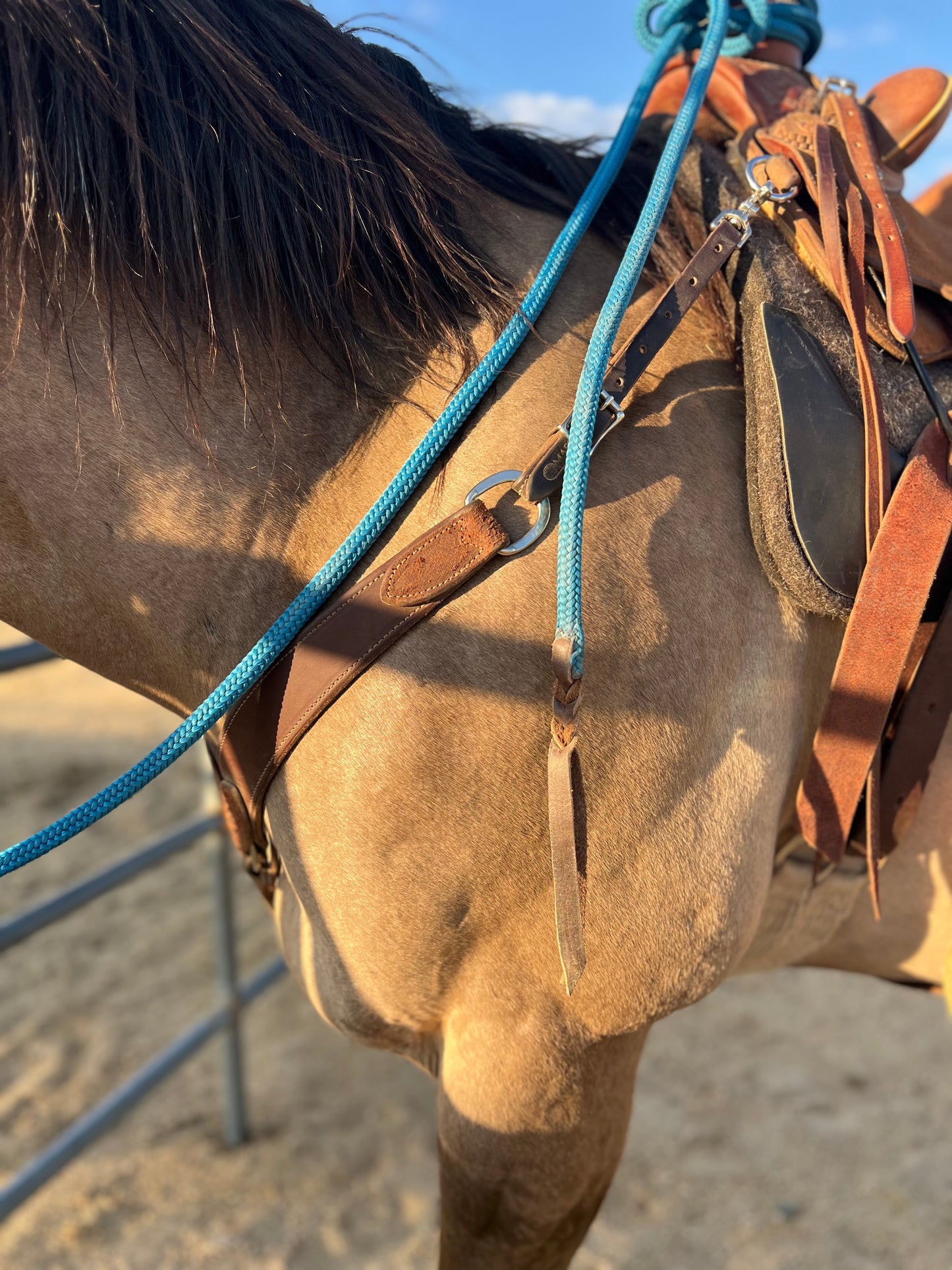 1776-2026 Blue Horse Halter Lead Rope