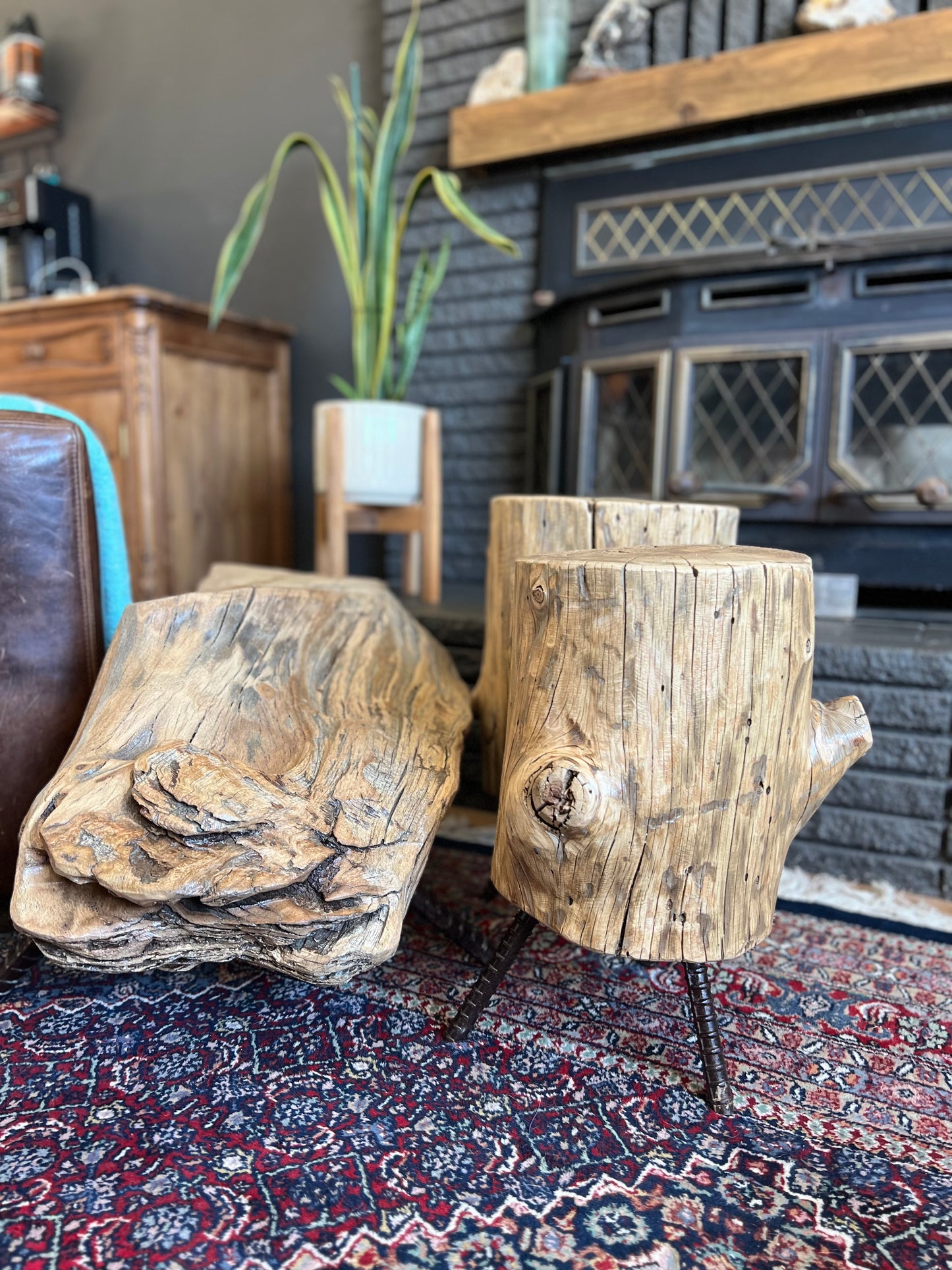 Dirty Mojave Pine Log Arbor Tree Medium Stump End Table with Legs